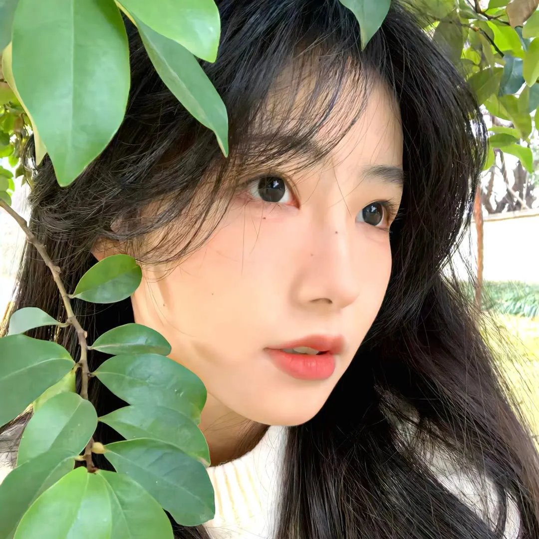 我的天才女友 第三季