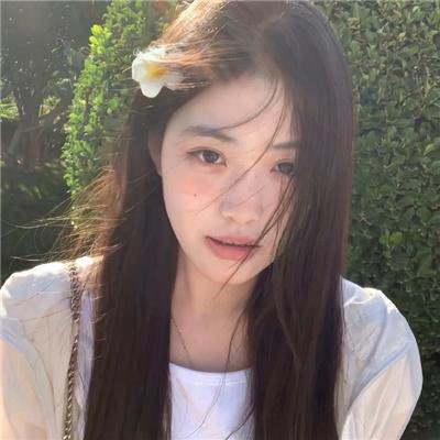 鲨机年华