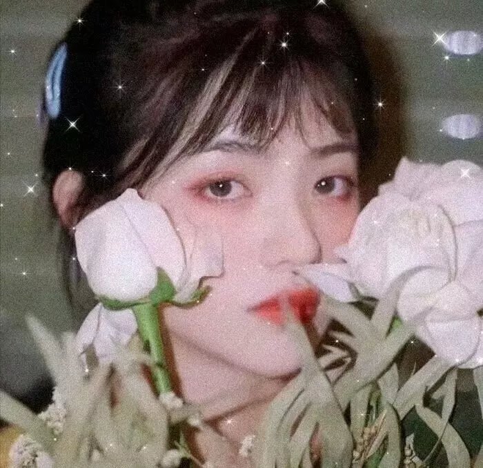 探晴安